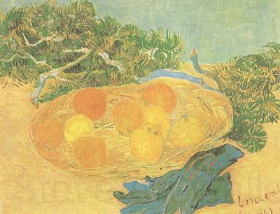 Vincent Van Gogh Still life:Oranges,Lomons and Blue Gloves (nn04) France oil painting art